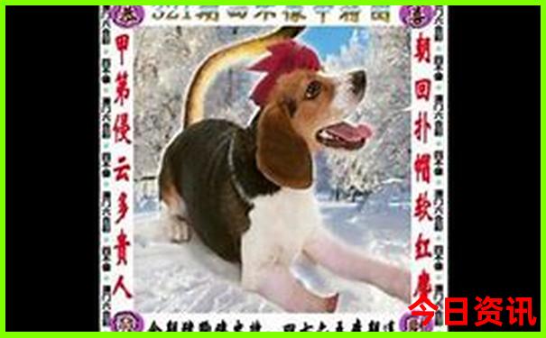 七月份适合去哪里旅游最好